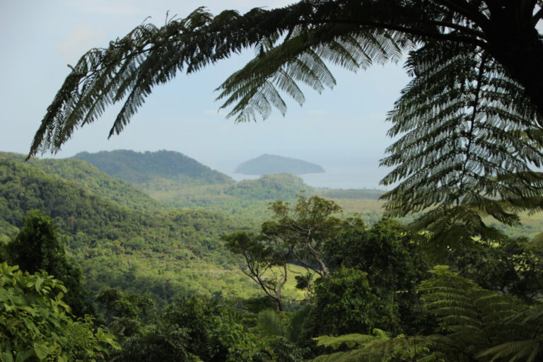 Read more about the article Top Immigration Paths for Expats in Costa Rica